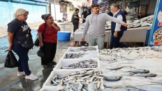 İklim değişikliği balık popülasyonunu azalttı, fiyatlar arttı