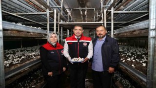 İyi tarım uygulama alanında inceleme