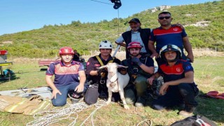 İzmir İtfaiyesinden yürekleri ısıtan kurtarma operasyonu