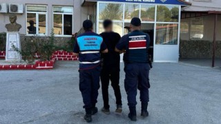 Jandarma ekipleri 48 saatte 31 aranan şahsı yakaladı