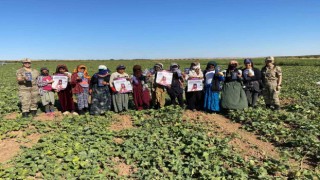 Jandarma KADES uygulamasını tanıttı