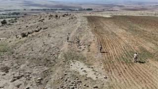 Jandarma komandolarından kayıp kadın için geniş çaplı arama: Dağ taş didik didik ediliyor