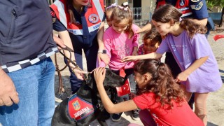 Jandarma'dan Miniklere Hayvan Sevgisi Dersi