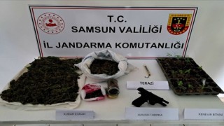 Jandarmadan uyuşturucu operasyonu: 1 kilo 471 gram skunk ele geçirildi