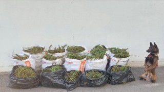 Jandarmadan uyuşturucu operasyonu