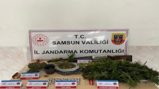Jandarmadan uyuşturucu operasyonu: 2 gözaltı