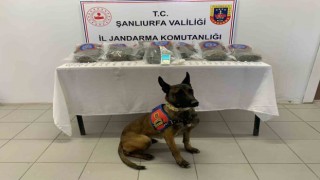Jandarmadan uyuşturucu operasyonu: 3 gözaltı