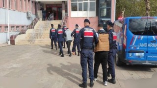 Jandarmanın titiz çalışması sonuç verdi, çalınan hayvanlar sahibine ulaştırıldı