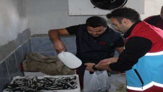 Kaçak avlanan balıklar ihtiyaç sahibi aileler ve eğitim kurumlarına dağıtıldı