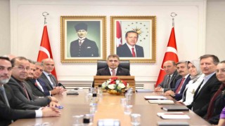 Kahverengi kokarca ile topyekün mücadele