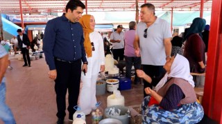 Kamanda Ceviz Festivali hazırlıkları tmamlandı