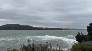 Karadenizde kötü hava şartları, 22 metrelik tekne karaya oturttu