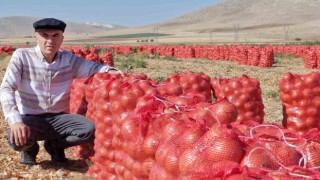 Karamanda kuru soğan üreticisinin yüzünü güldürüyor