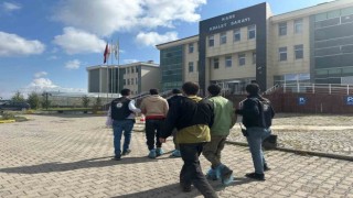 Karsta 7 düzensiz göçmen yakalandı