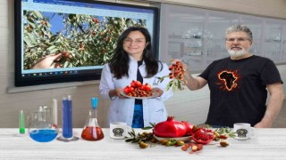Karya-Farma, Eylül ayında nar ve iğdeyi laboratuvara aldı