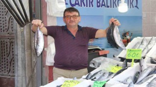 Kastamonuda kiloluk palamutlar 70 liradan satılıyor