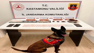 Kastamonuda uyuşturucu operasyonu: 1 tutuklama