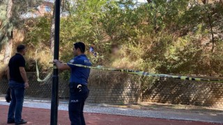 Kayıp olarak aranan kadın mesire alanında ölü bulundu
