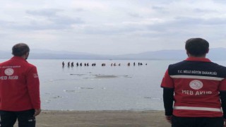 Kayıp Rojin Kabaiş 16 gündür aranıyor