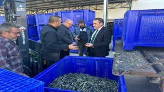 Kaymakam Memiş OSBde fabrikaları ziyaret etti