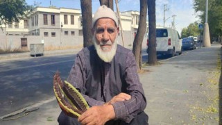 Keçiboynuzu toplayarak hem sağlıklı kalıyor hem de hayvanlarını besliyor