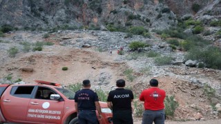 Keçilere kurtarma operasyonu düzenlendi, gerçek başka çıktı