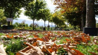 Kent Parkta sonbahar manzaraları mest etti