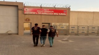 Kesinleşmiş 11 yıl cezası bulunan firariyi jandarma yakaladı