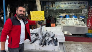 Kiliste havaların serinlemesiyle balık satışları arttı