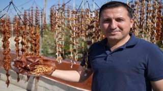 Kiliste kışın vazgeçilmez lezzeti cevizli sucuk mesaisi başladı