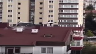 Kimse ne yaptığını anlamadı, yürekler ağızlara geldi