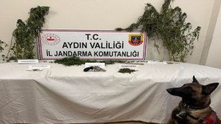 Koçarlıda uyuşturucu baskını: 1 gözaltı