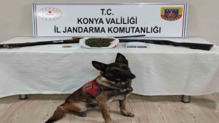 Konyada jandarma ekiplerinden uyuşturucu operasyonu