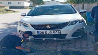 Konyada otomobilin motoruna sıkışan kedi kurtarıldı