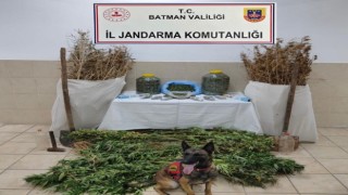Kozlukta bir evde yapılan aramada 12 kilo kubar esrar yakalandı