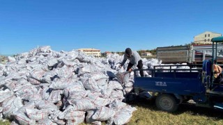 Kuluda bin 500 aileye kömür dağıtıldı
