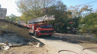 Kümeste bulunan güvercinler yanmaktan son anda kurtuldu
