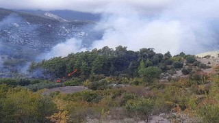 Kumlucada orman yangınında alevlerin sıçradığı ev kullanılamaz hale geldi