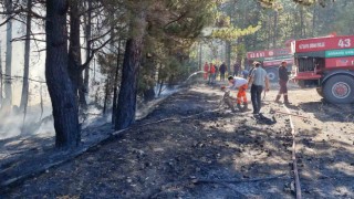 Kütahyada anız yangını ormana sıçradı