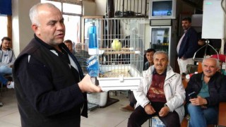 Kütahyada kuş meraklıları mezatta buluşuyor