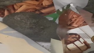 Kutudaki pastaya dadanan kirpi kameraya yakalandı