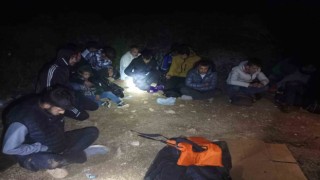 Makilik alana gizlenen 25 düzensiz göçmen yakalandı