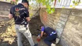 Malatya merkezli 10 milyon TLlik uyuşturucu operasyonu