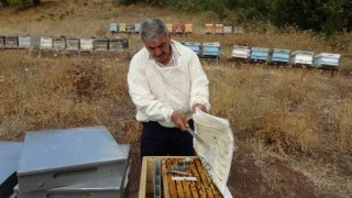 Malatyada bal hasadı tamamlandı
