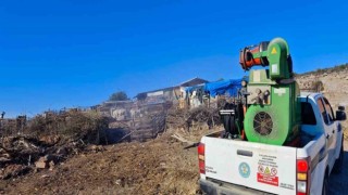 Manisa Büyükşehir Belediyesinden mavi dil hastalığına karşı mücadele