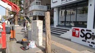 Mardinde kaldırımdaki ağaçlar izinsiz kesildi