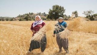 Mersin Büyükşehir Belediyesi, binlerce kadını tarımla buluşturdu