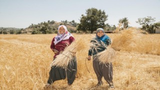 Mersin Büyükşehir, Kadın Çiftçileri Tarımla Güçlendirmeye Devam Ediyor