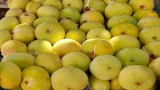Mersinde incirin sezonu 80 lirayla kapatması üreticinin yüzünü güldürdü