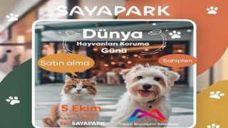 Mersinde sokak hayvanları sahiplendiriliyor